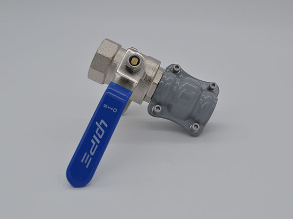 Single Side Plug Female Ball Valve