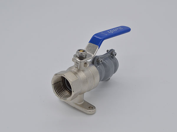 Single Side Plug Female Ball Valve