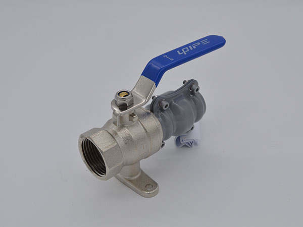 Single Side Plug Female Ball Valve