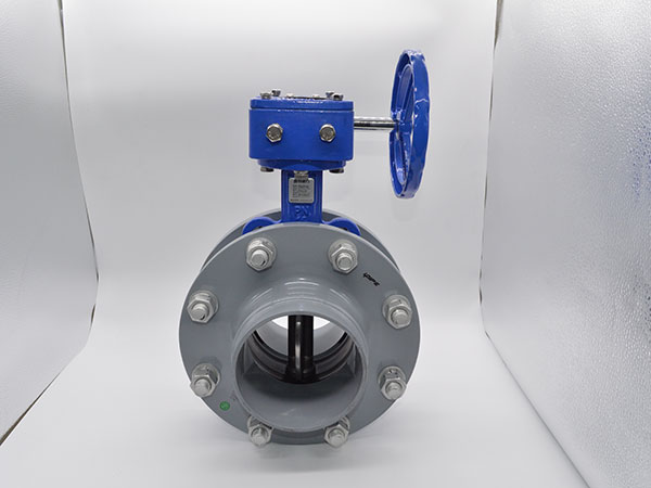 Turbine Butterfly Valve