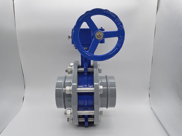 Turbine Butterfly Valve